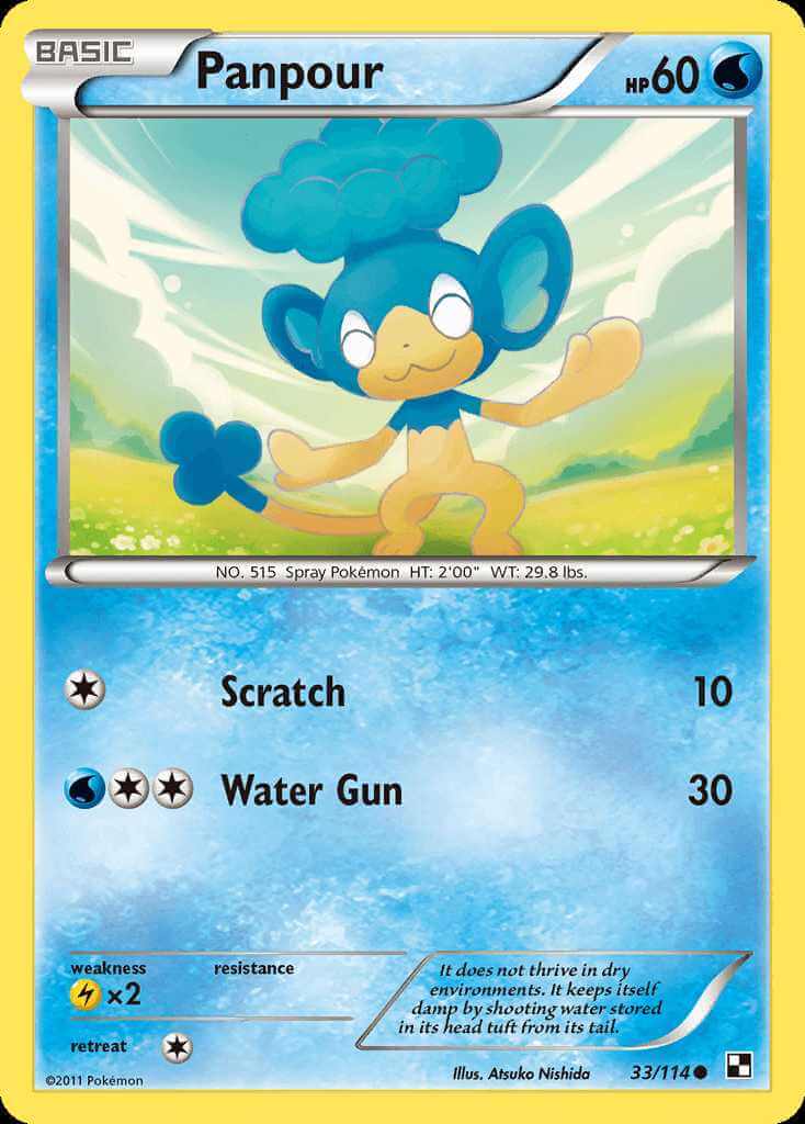 Panpour debut card