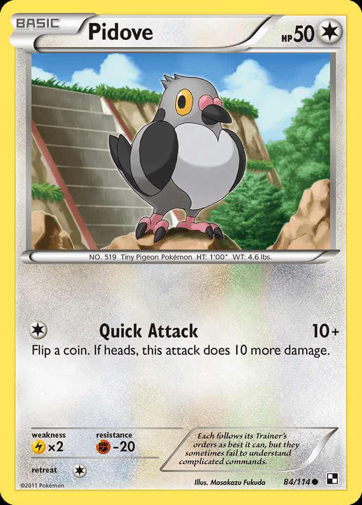 Pidove debut card