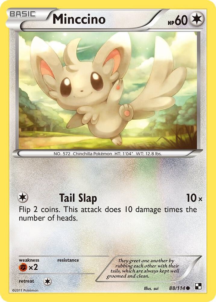 Minccino debut card