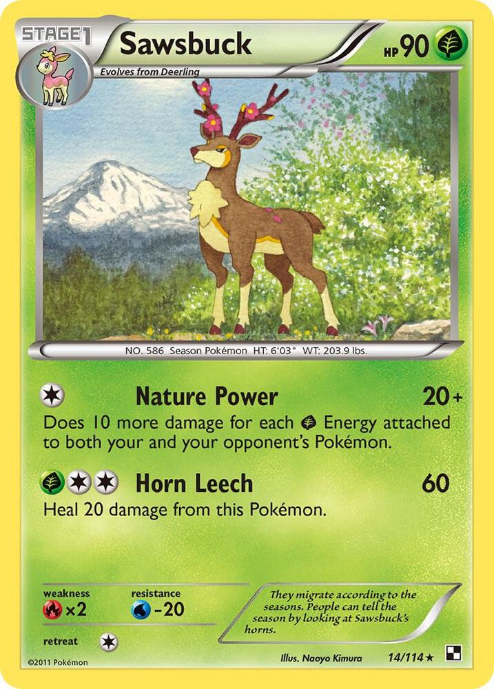 Sawsbuck debut card