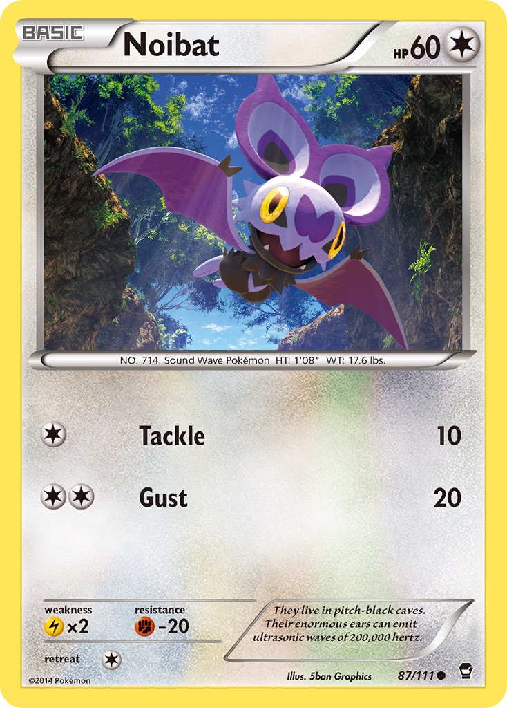 Noibat debut card