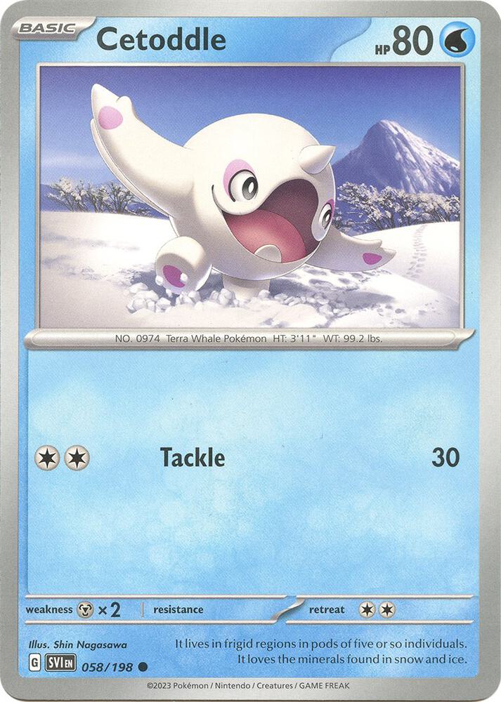 Cetoddle debut card